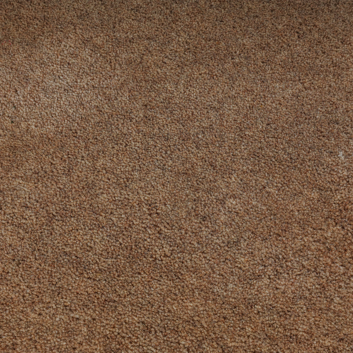 Tapis en laine - Isara Border Marron