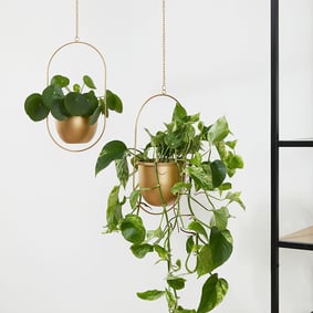 Plantenhanger - Liv Goud 2/set