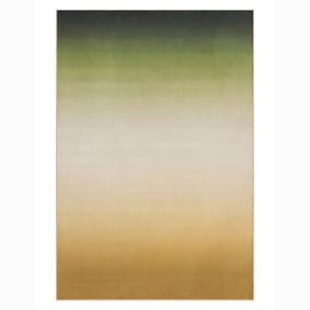 Modern vloerkleed - Clarke Fade Groen - product