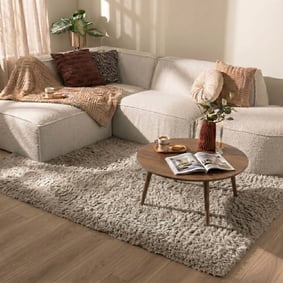 Shaggy vloerkleed - Blaze Beige/Grijs