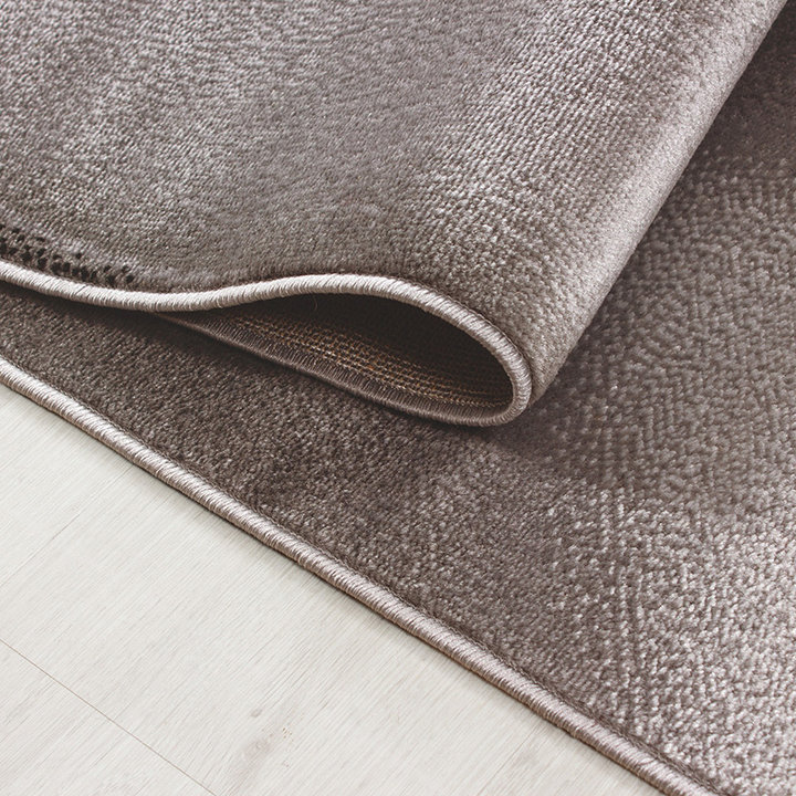 Modern vloerkleed - Plus Bruin 8008 - 4