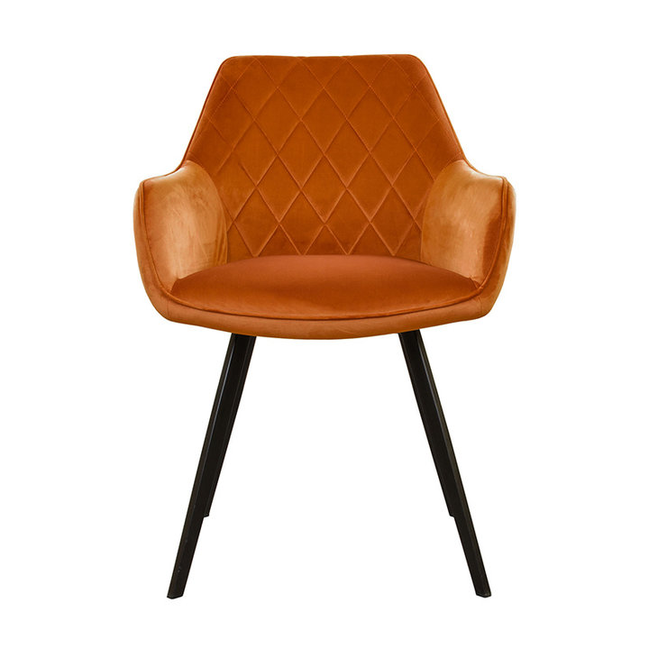 Velvet eetkamerstoel - Karl Oranje - 2