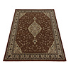 Perzisch vloerkleed - Kashmir Terra 2607