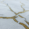 Modern vloerkleed - Marble Branch Grijs Goud