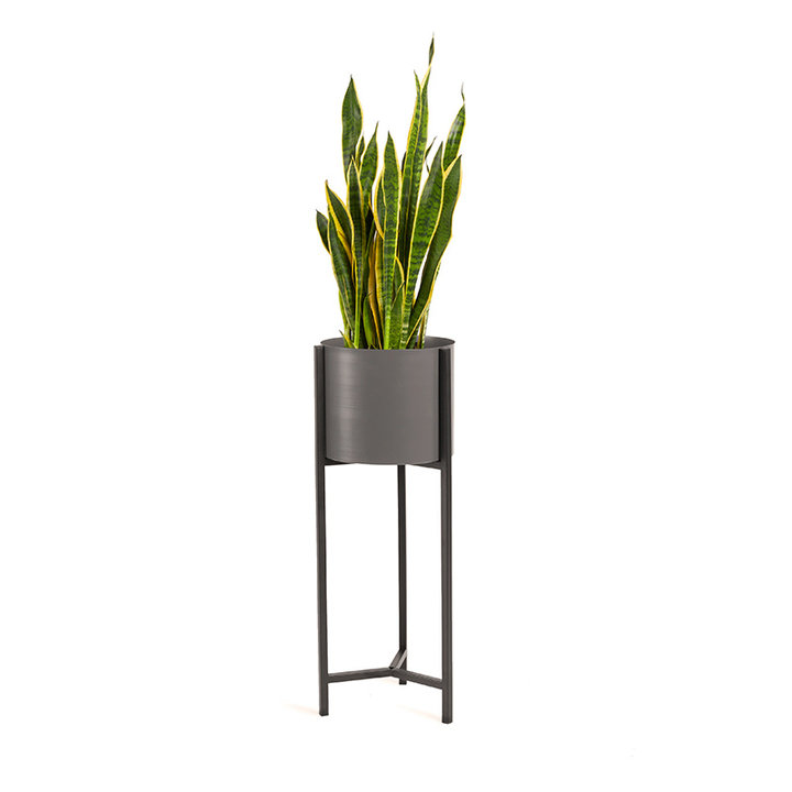 Plantenbak - Delphine Zwart Hoog - 3