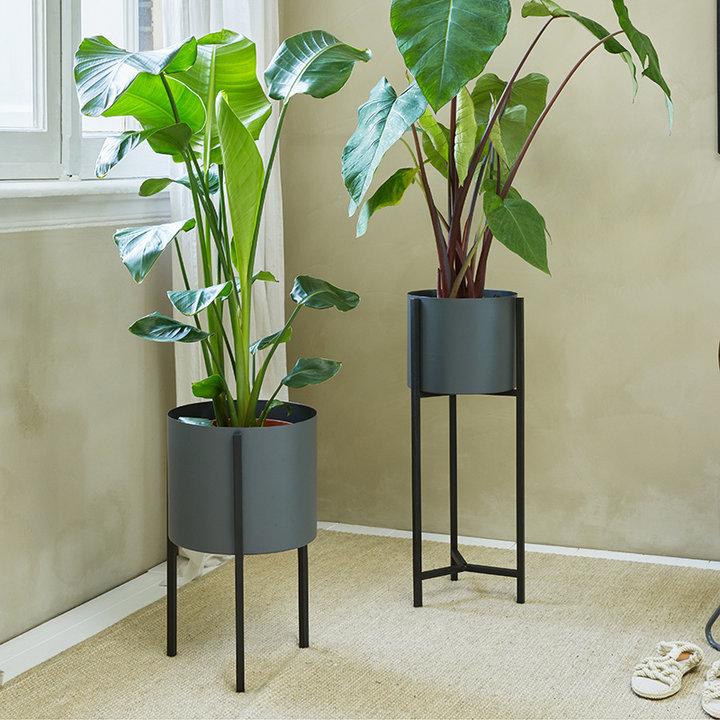 Plantenbak - Delphine Zwart Hoog - 2