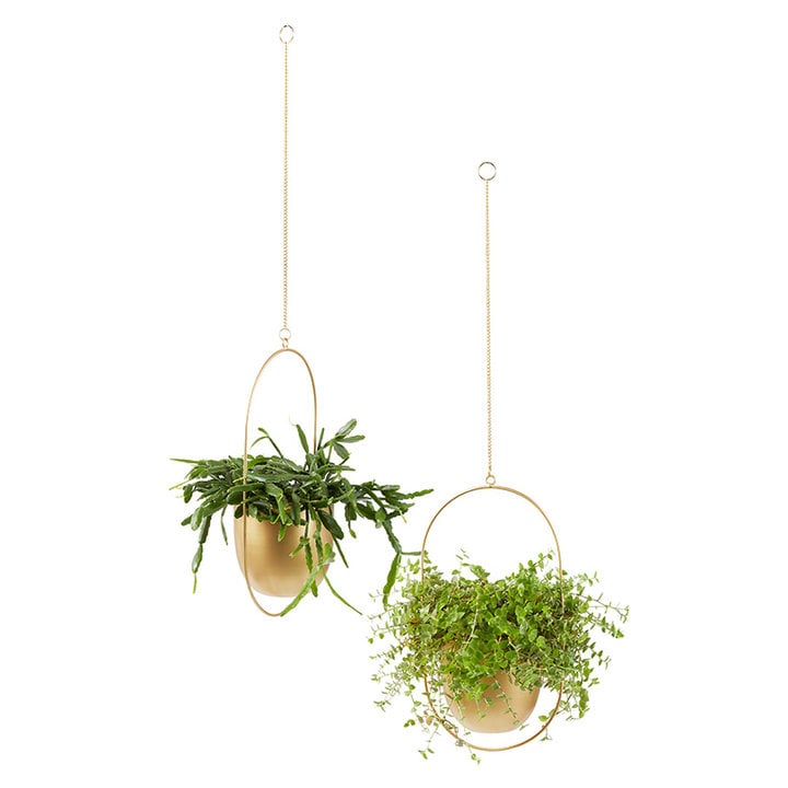 Plantenhanger - Liv Goud 2/set - 1