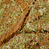Rond Grafisch vloerkleed -  Cities London 9320 - thumbnail 2