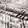 Abstract vloerkleed - Elitha Geo Beige/Zwart