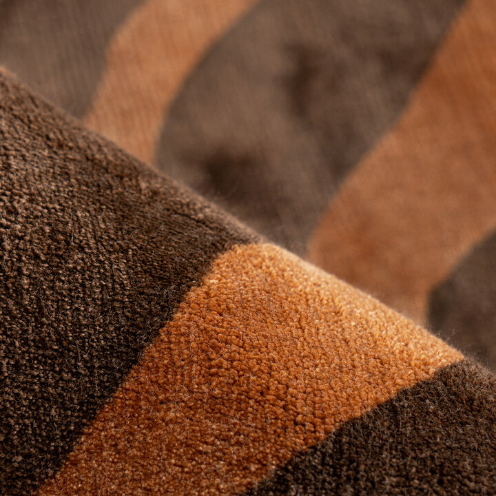 Modern vloerkleed - Sinan Zebra 125 Bruin  - 3