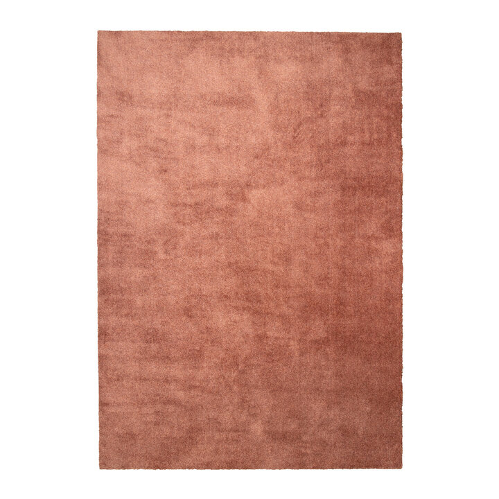 Wasbaar vloerkleed - Clean Terra - 1