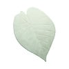 Wasbaar kindervloerkleed - Coco Blad Groen - thumbnail 1