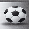 Voetbalkleed - Pleun Kampioen Grijs - thumbnail 6